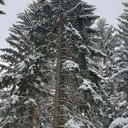 شقة Zlatar Br 16 Brdo