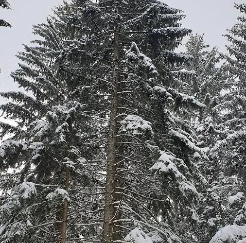 Apartament Zlatar Br 16 Brdo